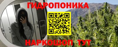 не бодяженный Новозыбков