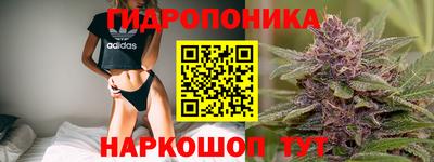 не бодяженный Новозыбков